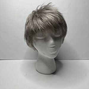 Paula Young Gray Short Hairstyle Wig Average Size